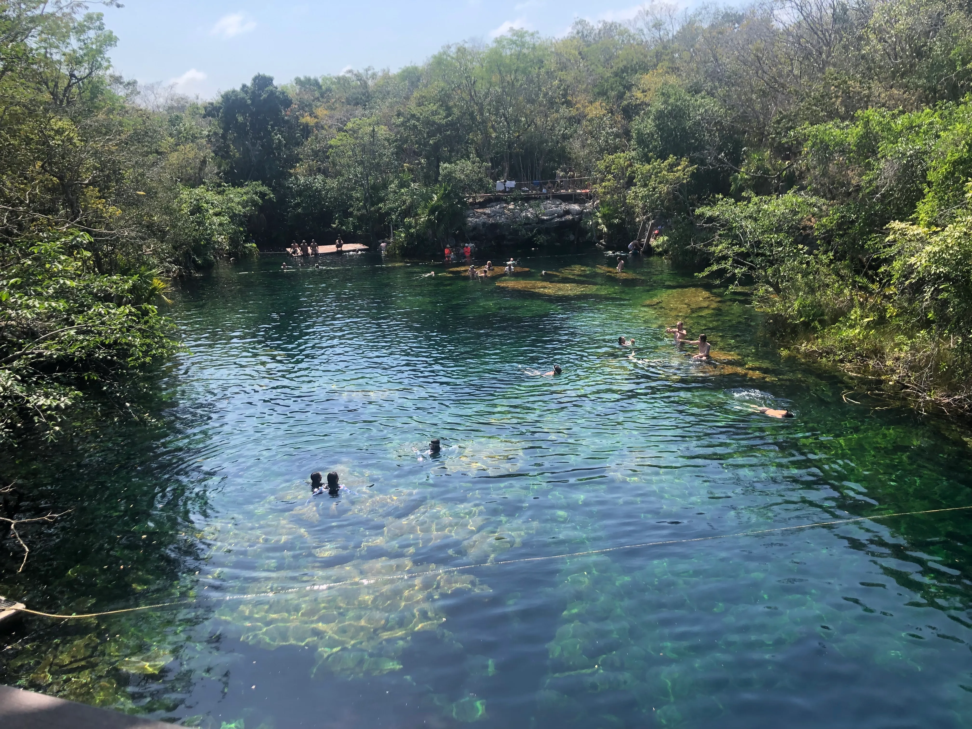 The Best Cenotes Near Playa del Carmen